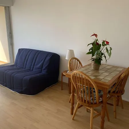 Lägenhet 2 Pieces Avec Piscine Pour 4 Personnes - Fr-1-731-116 Le Grau-du-Roi